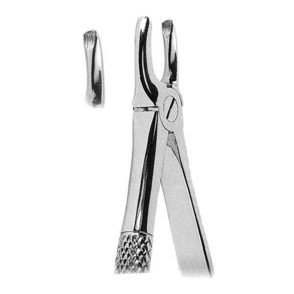 Extracting Forcep